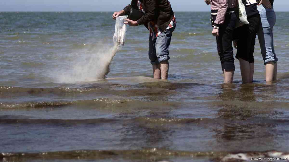 Begraven en cremeren op 'vreemde' plekken: wat er wel en niet mag