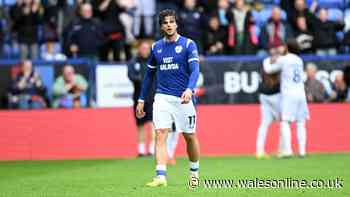 Cardiff City ratings as forwards just not good enough in Bolton defeat