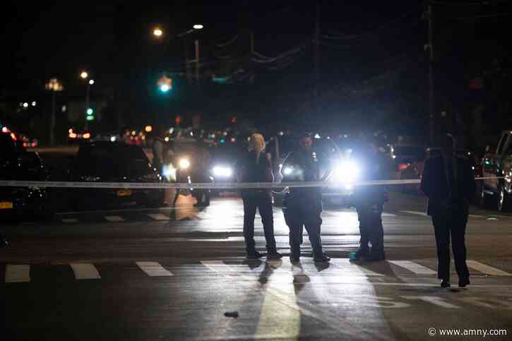 Two men shot dead at Brooklyn playground; police still searching for their killers