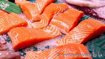 Salmon will be sweet and sticky if you coat it in 1 ingredient before cooking