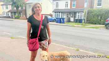 The 'brilliant' area in the shadow of Addenbrooke's hospital where residents feel 'lucky'