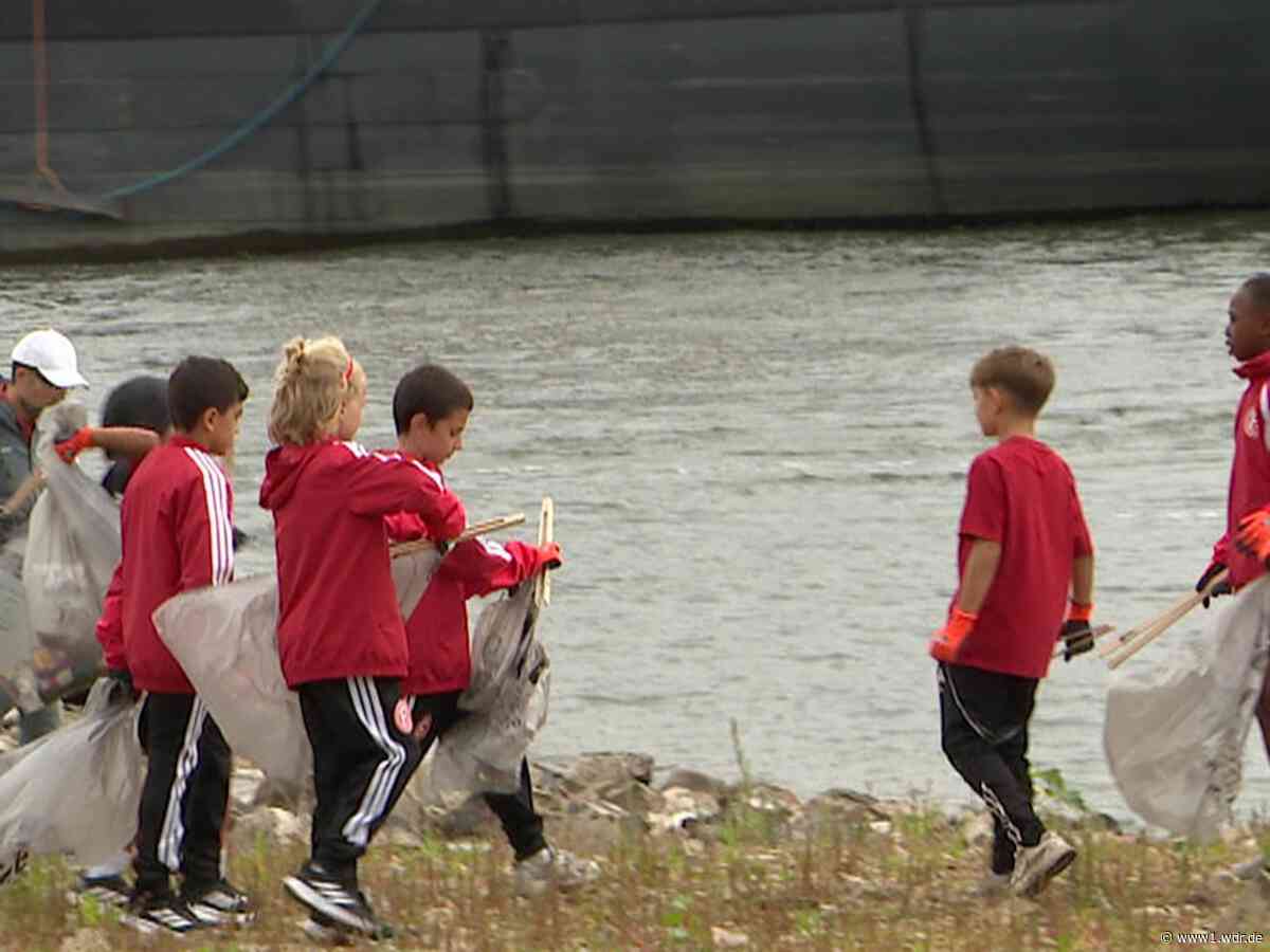 Rhine Cleanup Day: Freiwillige räumen Rheinufer auf
