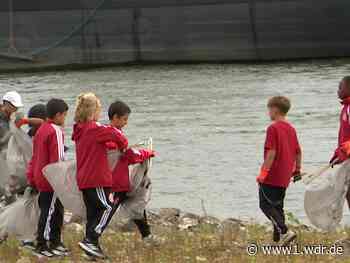 Rhine Cleanup Day: Freiwillige räumen Rheinufer auf