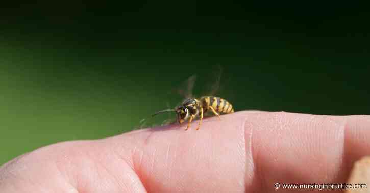 Common insect bites and stings: what nurses need to know