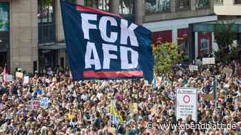 „Es ist 5 vor 1933“: Veranstalter sprechen von 25.000 Teilnehmern bei Anti-AfD-Demo