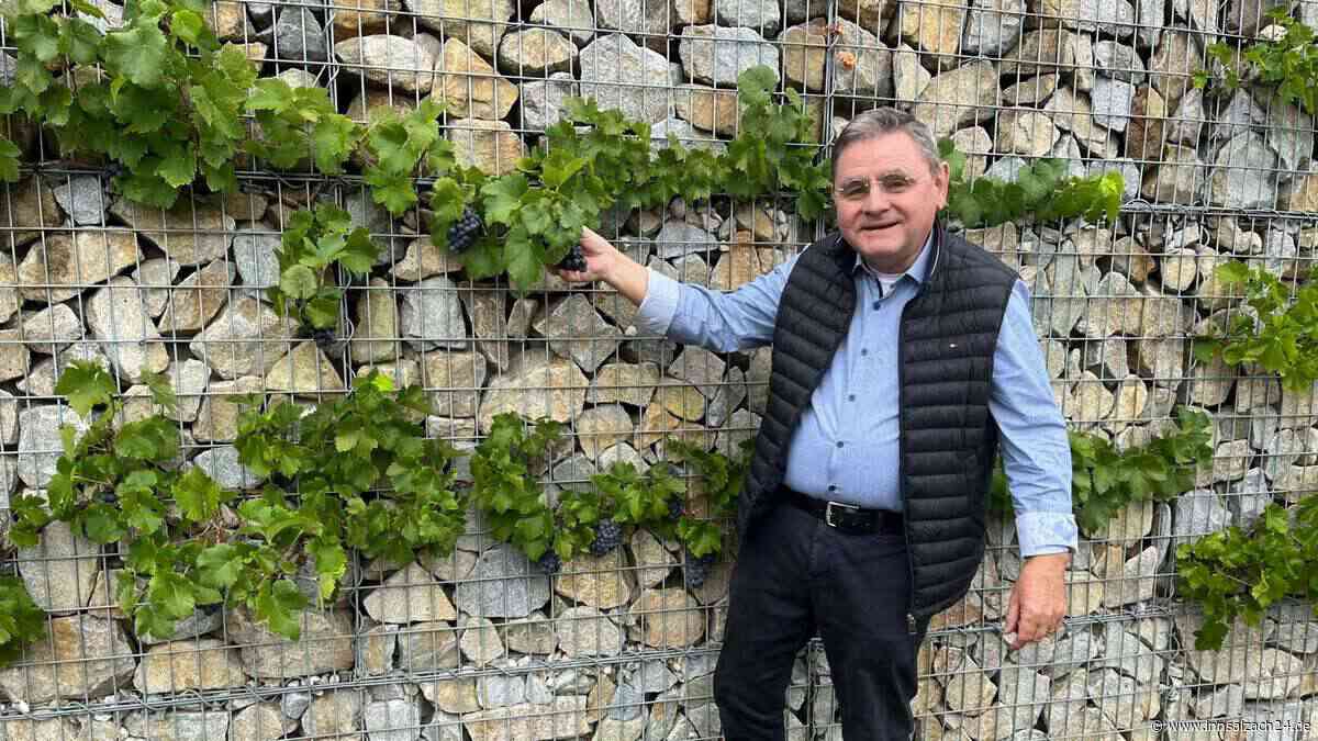 Zwischen Hofarbeit, Weintrauben und dem BVB: So genießt Alt-Landrat Erwin Schneider seine Rente