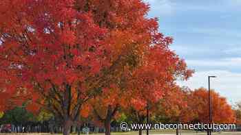 Connecticut could see a later, longer fall foliage season this year