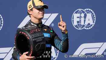 Lando Norris stuns Kimi Antonelli with 'perfect' lap to snatch Spanish Grand Prix pole in Madrid - while Lewis Hamilton has to settle for fourth