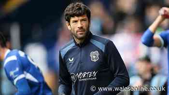 'I'm not naïve' - Dejected Barry-Murphy admits Cardiff City must start winning quickly