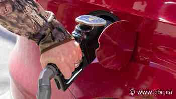 Maritime diesel prices climb as high as $2.74 per litre