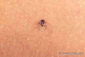 New virus detected in a tick invasive to the US. Should we be concerned?