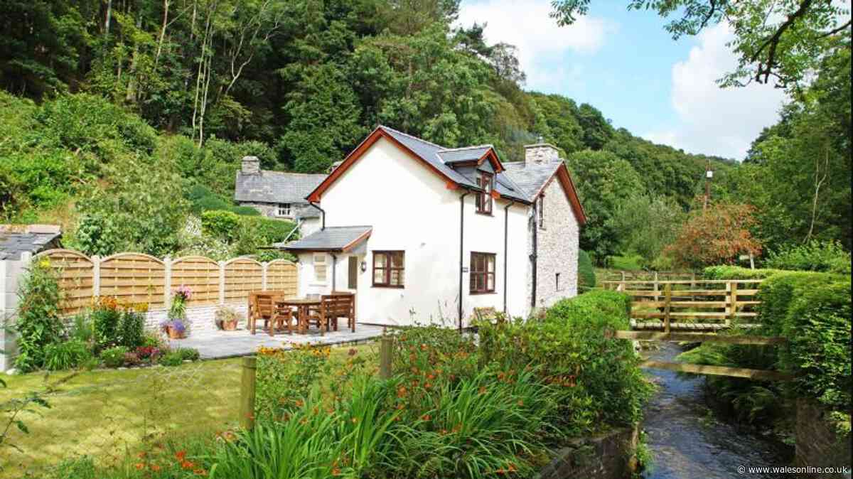 'Stunning' cottage in 'idyllic' location surrounded by 'babbling brook and birdsong'
