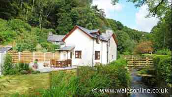 'Stunning' cottage in 'idyllic' location surrounded by 'babbling brook and birdsong'