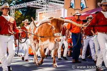 Watch Live: Bevo Boulevard ahead of Ohio State-Texas