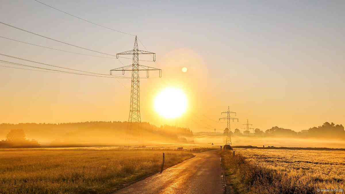 Doch kein Solarinfarkt?: "Die Energiewirtschaft sagt, das Stromnetz ist überlastet - das stimmt nicht"