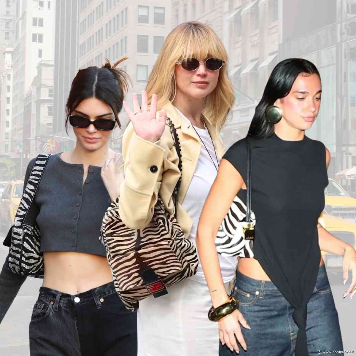 The Zebra-Print Handbags Dominating Fall Trends