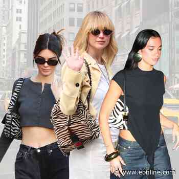 The Zebra-Print Handbags Dominating Fall Trends