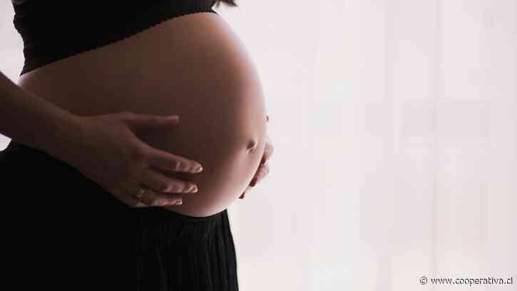 Gestación subrogada, aborto y custodia: complejo caso llega al Supremo de EE.UU.