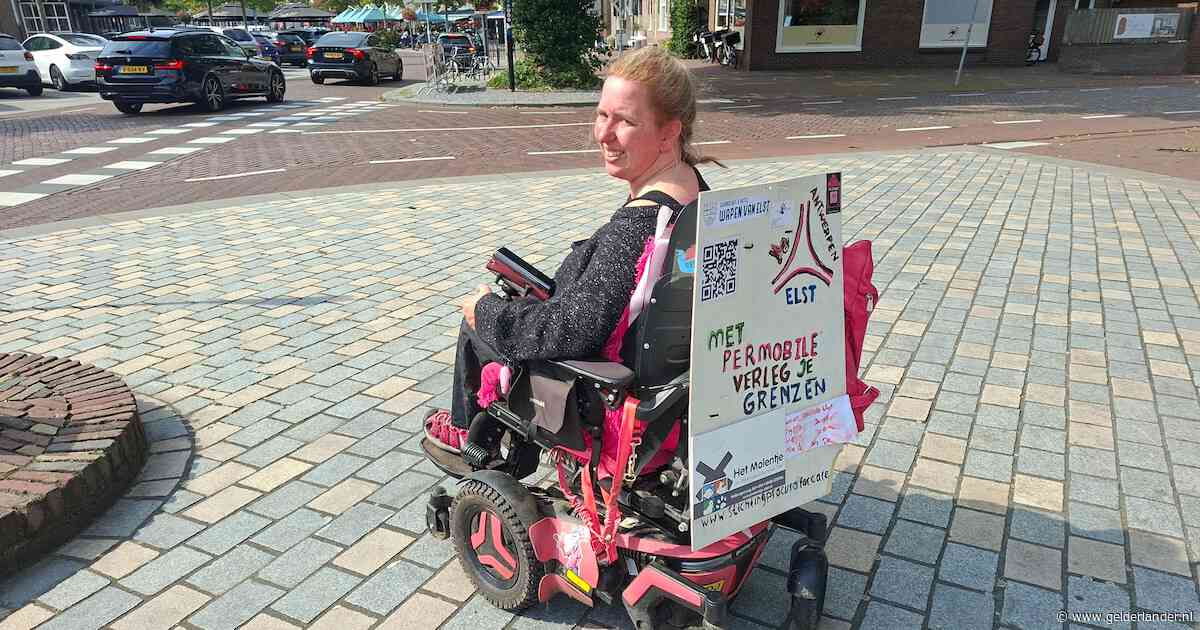 Dieneke wilde in haar rolstoel naar Antwerpen voor haar zieke zoon, maar strandde in een bos: ‘Ik was ervan overtuigd dat ik het zou halen’