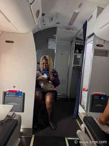 'A+ employee': Flight attendant’s kind gesture goes viral, earns praise online