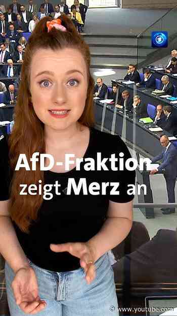 AfD-Fraktion im Bundestag zeigt Merz an