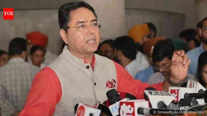 Gangster's extradition from Moldova shows Mann government's resolve: Punjab minister