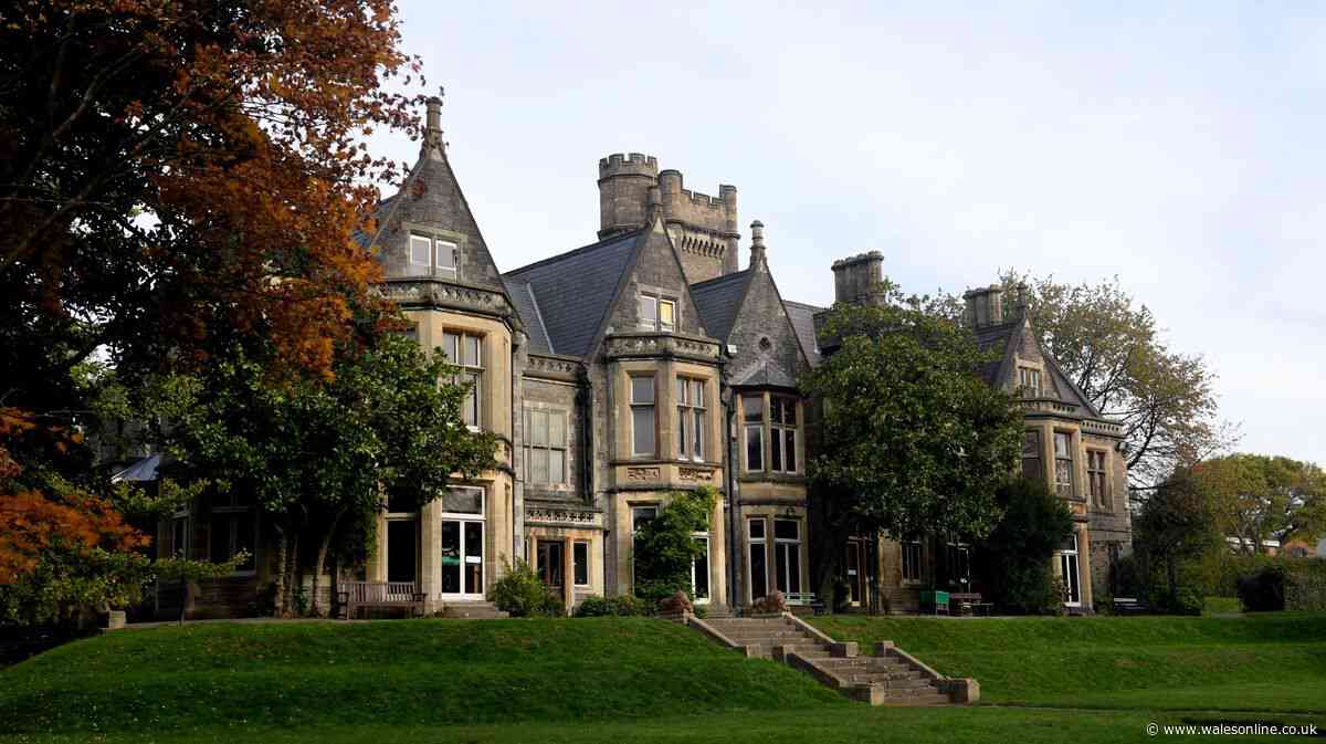 This underrated Cardiff mansion is home to beautiful gardens and a brilliant cafe serving cakes