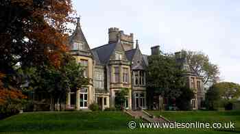 This underrated Cardiff mansion is home to beautiful gardens and a brilliant cafe serving cakes