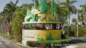 Miami-Dade to give away thousands of trees at Zoo Miami: Here's how to get one