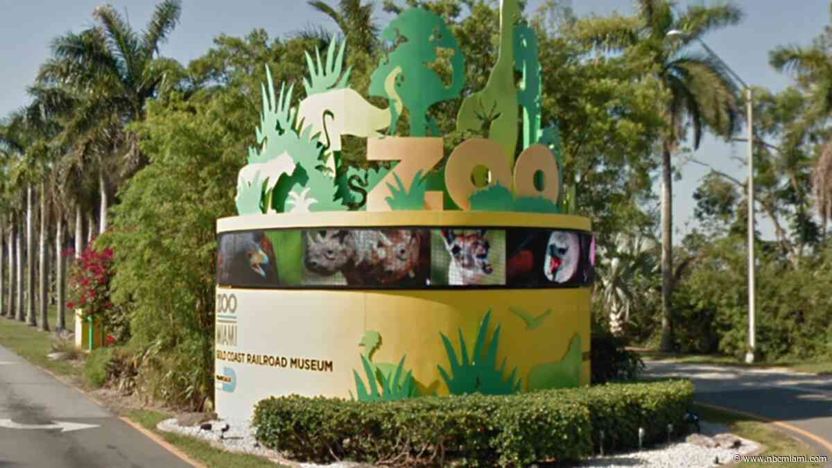Miami-Dade to give away thousands of trees at Zoo Miami: Here's how to get one