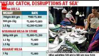 Ranna Puja rush drives up hilsa prices, large sizes stay scarce