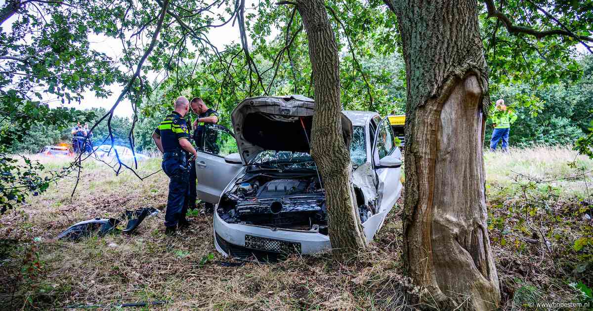 Auto raakt van de weg en knalt tegen boom op A58 bij Sint Willebrord, bestuurder naar ziekenhuis