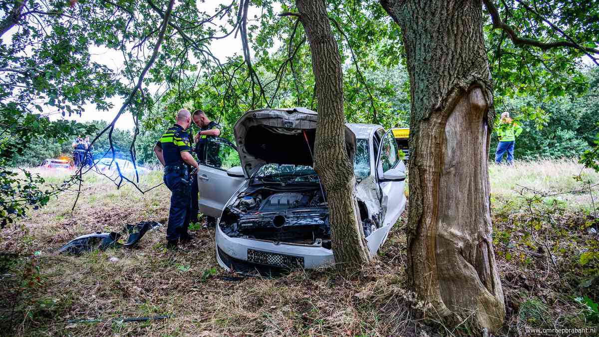 Automobilist rijdt rechtdoor in bocht op A58 en knalt tegen een boom