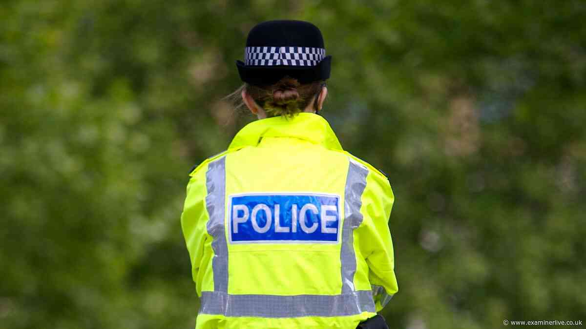 Man arrested after 'hijacking bus at knife point' as police give chase