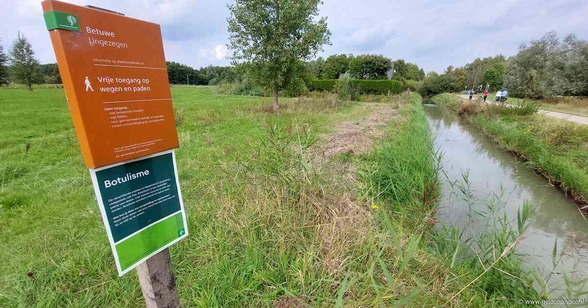 Waarschuwing voor botulisme in Park Lingezegen: ‘Raak dode dieren niet aan’