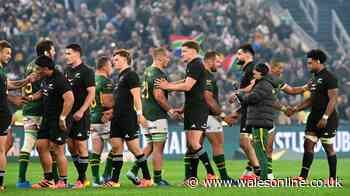 How Springboks v All Blacks series will be decided if it ends in a draw