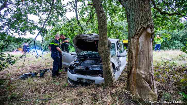Automobilist rijdt rechtdoor in bocht en knalt tegen een boom