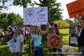 Photos: March to Abolish Animal Testing begins in Albany