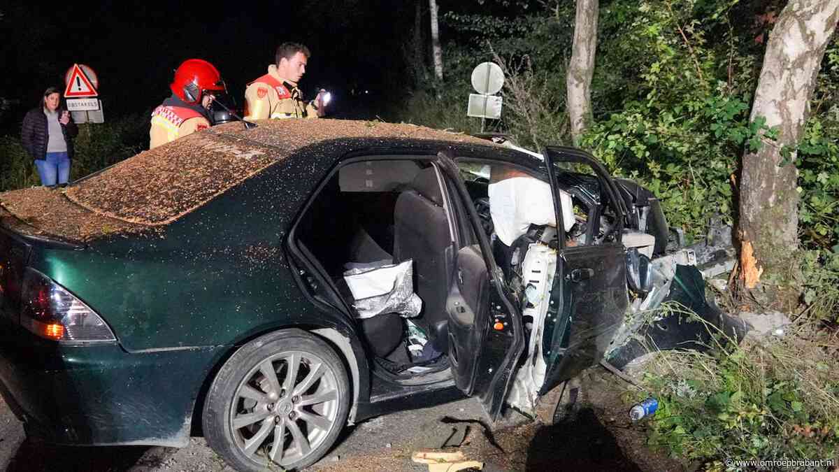 Auto botst met harde klap tegen boom, bestuurder is spoorloos