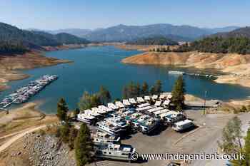 Man drowns trying to rescue dog that jumped from boat into California lake