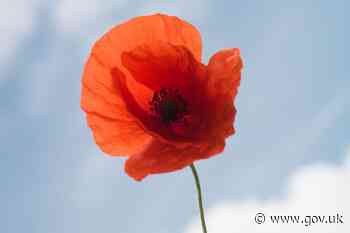 Free rail travel expanded to bereaved veteran families this Remembrance weekend