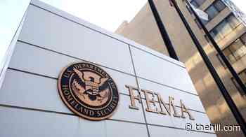 Trump's plan to halve FEMA workforce illegal, judge rules
