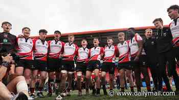 'Munster Rugby haven't trained here in 15 years' - The inside story of how Waterford's huge rugby population, undergoing a grassroots revival, is waiting to be tapped into by a province that needs all the help it can find...