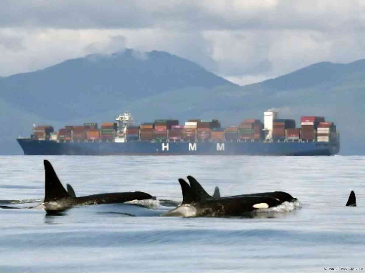 Opinion: Why Canada's new pipeline proposal threatens the Salish Sea 