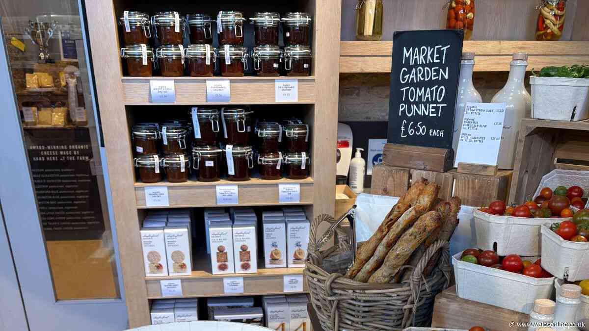I visited the UK's priciest farm shop 2 hours from Wales — I won't be returning