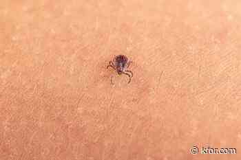 New virus detected in a tick invasive to the US. Should we be concerned?