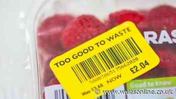 I spent four years working at Tesco — this is when you should look for the best deals