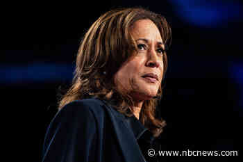 Alleged trespasser stopped outside Kamala Harris’ Malibu home
