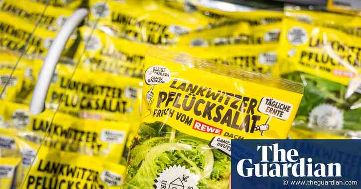 ‘Fresh from the roof’: the supermarket growing salad a few metres above the tills