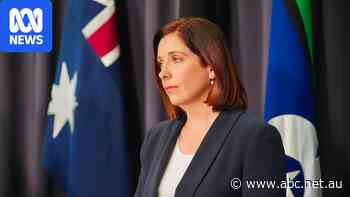 Labor and Coalition draw different battle lines over social media fight